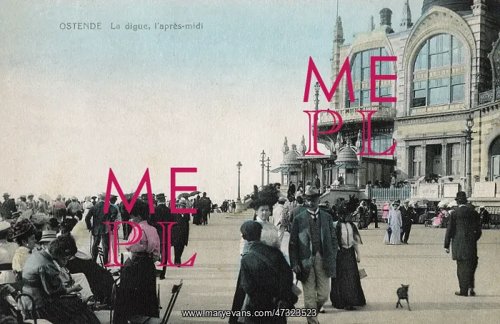 : SOCIAL / OSTEND AFTERNOON : SOCIAL / OSTEND AFTERNOON