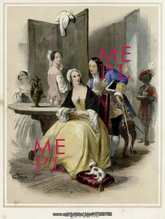  : SOCIAL / QUEEN ANNE 18C