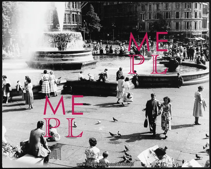 : SOCIAL SCENE 50S : SOCIAL SCENE 50S