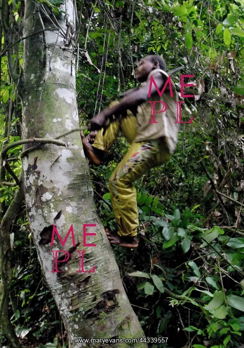 : Social Scenes - Congo - 2009 : Social Scenes - Congo - 2009