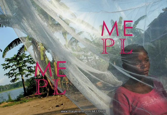 : Social Scenes - Congo - 2009 : Social Scenes - Congo - 2009