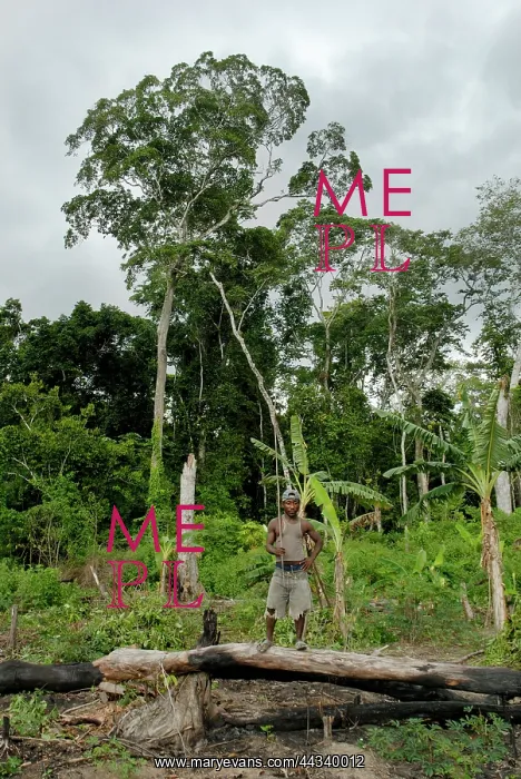 : Social Scenes - Congo - 2009 : Social Scenes - Congo - 2009