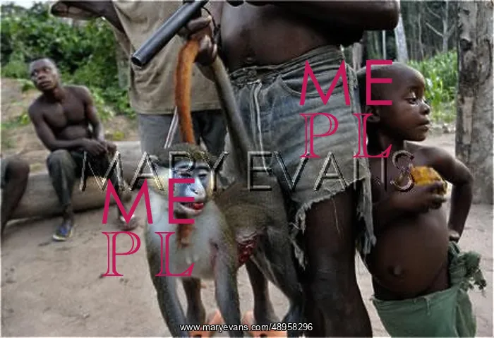 : Social Scenes - Congo - 2009 : Social Scenes - Congo - 2009