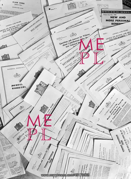 : Social Services : Social Services