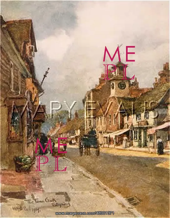  : SOCIAL / STEYNING / RURAL