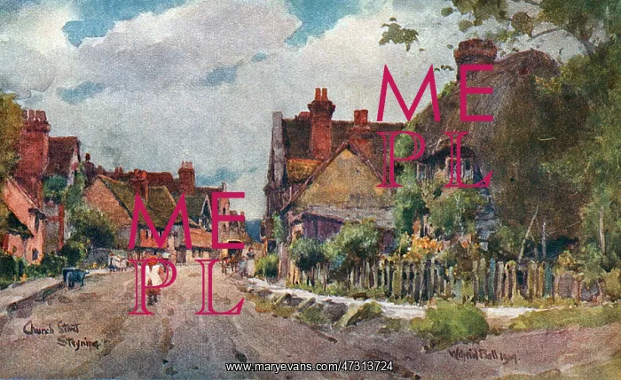  : SOCIAL / STEYNING VILLAGE