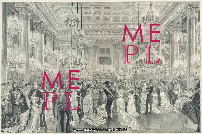 : SOCIAL / VIENNA BALL 1881 : SOCIAL / VIENNA BALL 1881