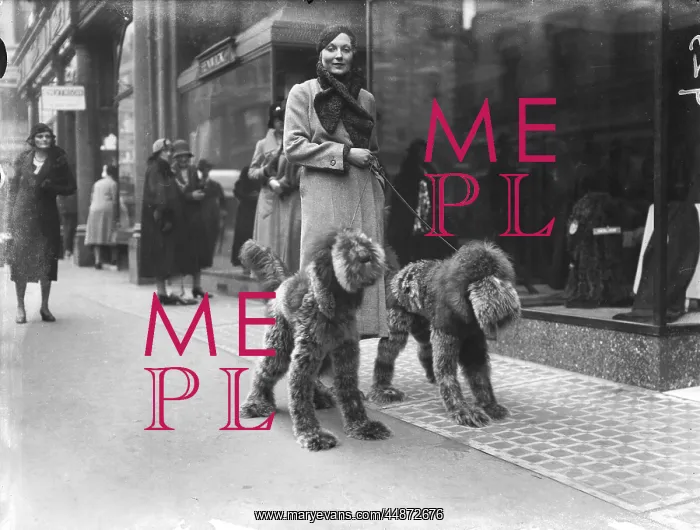 : SOCIETY'S NEW PETS : SOCIETY'S NEW PETS
