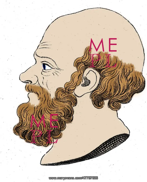 : Socrates, Ancient Greek Philosopher : Socrates, Ancient Greek Philosopher