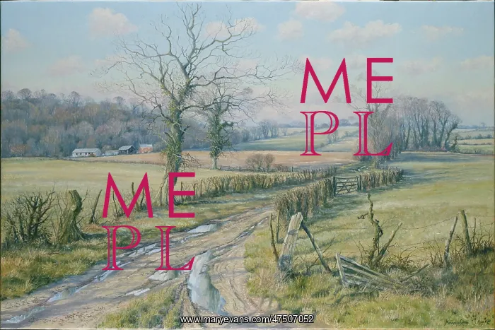 : Soft March Sunshine ' Hampshire : Soft March Sunshine ' Hampshire