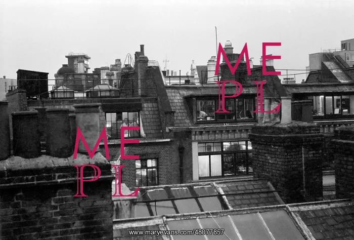 : Soho, London - rooftop view : Soho, London - rooftop view