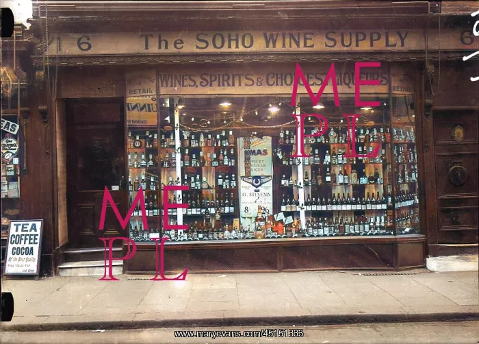 : SOHO WINE SHOP : SOHO WINE SHOP