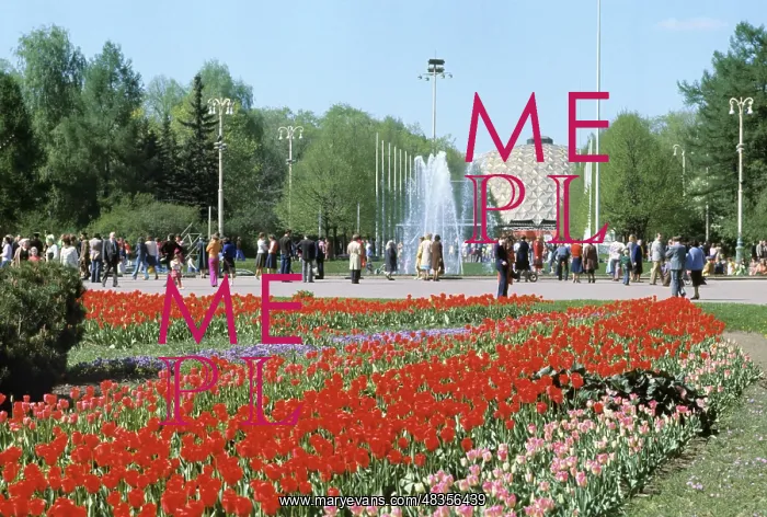 : Sokolniki park, 1979 : Sokolniki park, 1979