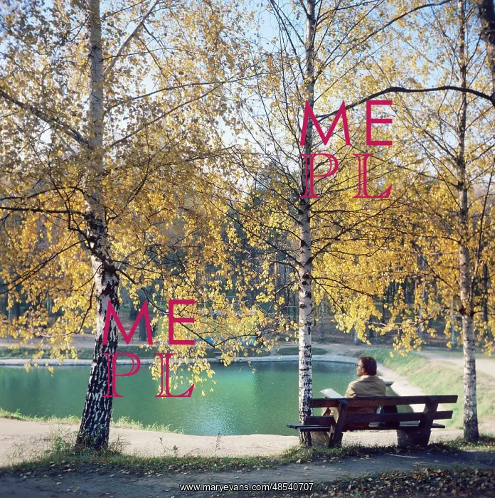 : Sokolniki park, 1979 : Sokolniki park, 1979