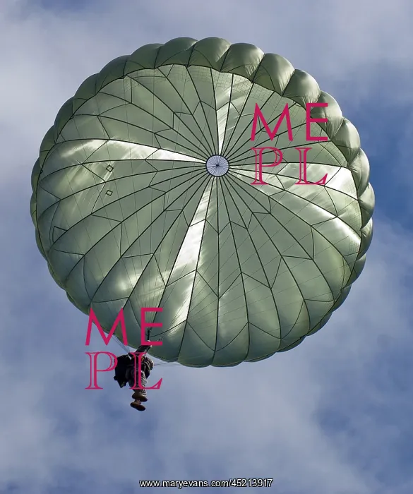 : Soldier of the 82nd Airborne descends from ? : Soldier of the 82nd Airborne descends from ?