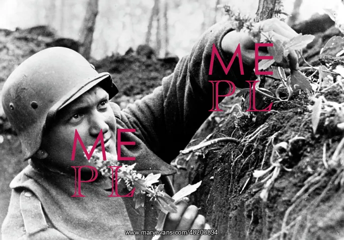  : A soldier on the Eastern Front, 1944