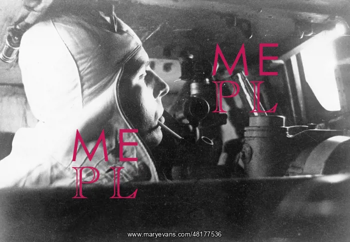 : Soldier in a German assault gun, 1943 : Soldier in a German assault gun, 1943