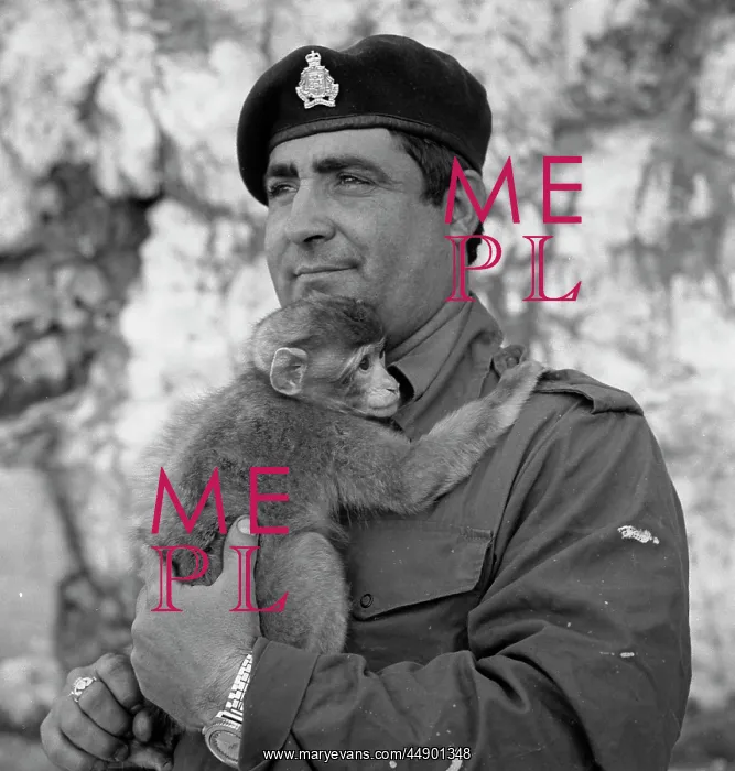 : Soldier holding a monkey : Soldier holding a monkey