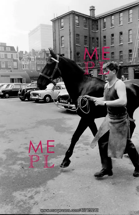 : Soldier leading a horse : Soldier leading a horse