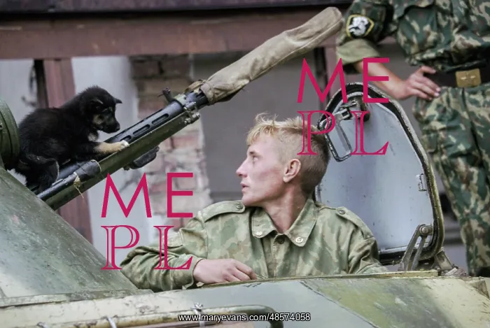 : Soldier with the puppy in Grozny : Soldier with the puppy in Grozny