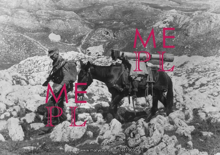 : Soldier of the Waffen-SS in Macedonia : Soldier of the Waffen-SS in Macedonia