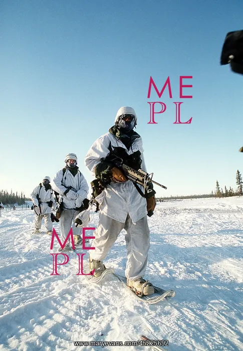 : US soldiers in Arctic warfare training at ? : US soldiers in Arctic warfare training at ?