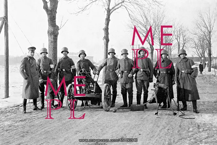 : Soldiers of the Assault Division Rossbach, 1919 : Soldiers of the Assault Division Rossbach, 1919