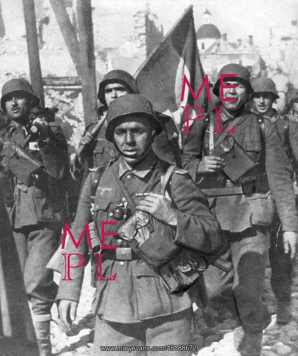 : Soldiers of the Blue Division at the eastern Front, 1941 : Soldiers of the Blue Division at the eastern Front, 1941