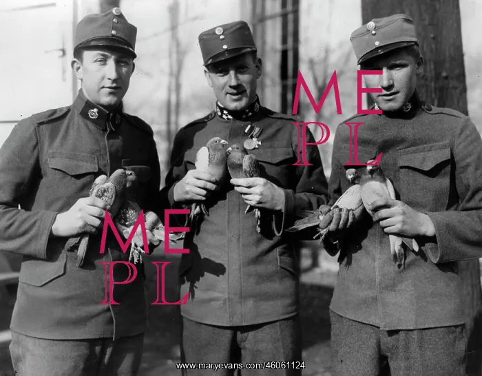 : Soldiers with carrier pigeons : Soldiers with carrier pigeons