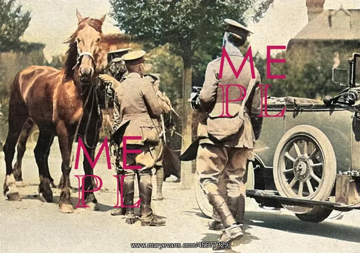 : Soldiers commandeering horses at Bexhill, WW1 : Soldiers commandeering horses at Bexhill, WW1