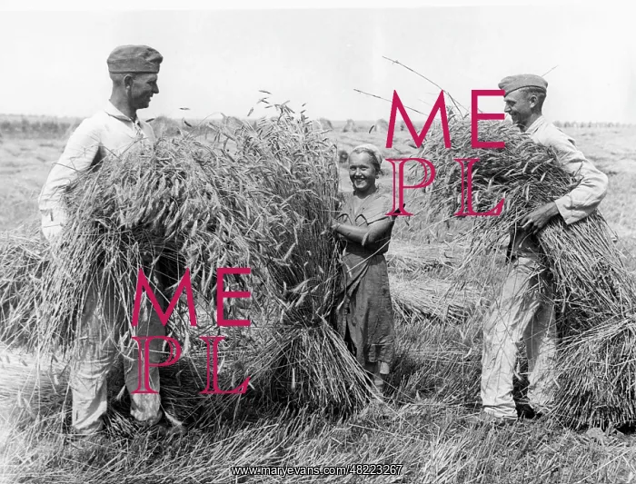 : Soldiers during the harvest, 1930s : Soldiers during the harvest, 1930s