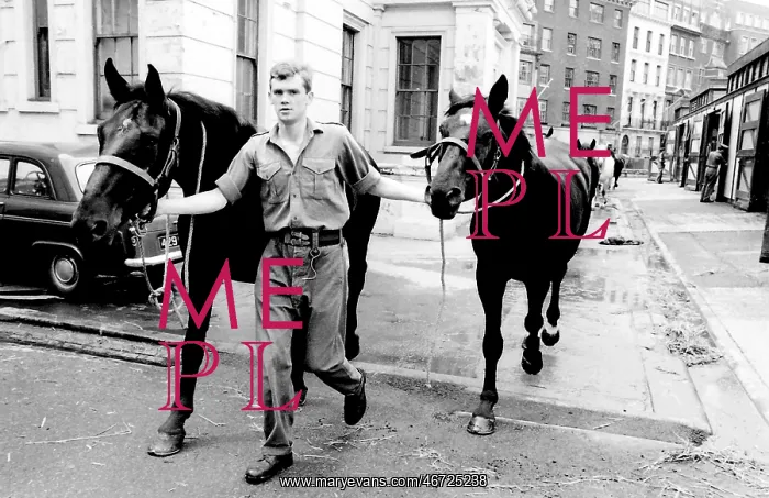 : Soldiers leading horses : Soldiers leading horses