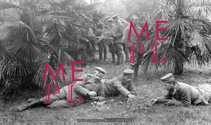 : Soldiers in Pordenone, 1917 : Soldiers in Pordenone, 1917
