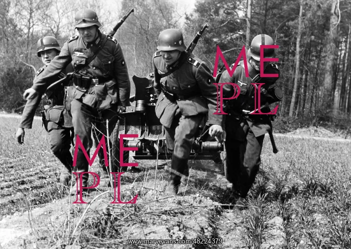: Soldiers pull a gun : Soldiers pull a gun