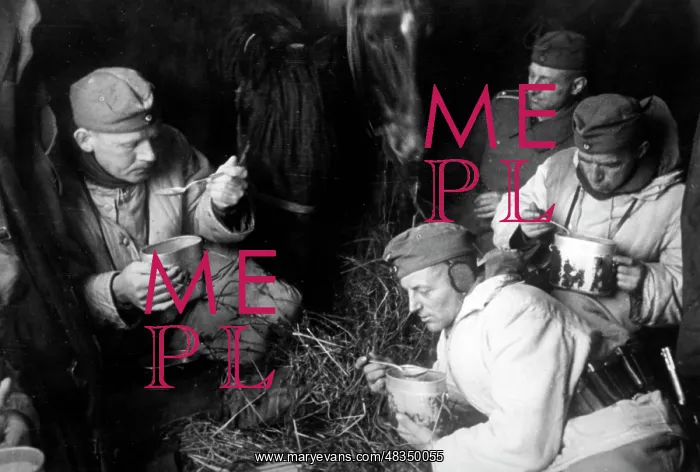 : Soldiers in a railroad car, 1943 : Soldiers in a railroad car, 1943