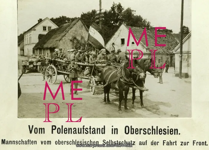 : Soldiers of the Selbstschutz - self-defense : Soldiers of the Selbstschutz - self-defense