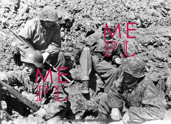 : Soldiers of the SS-Division Totenkopf on the Eastern front : Soldiers of the SS-Division Totenkopf on the Eastern front