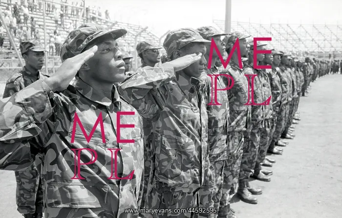 : Soldiers of UWS saluting on parade at the ANC : Soldiers of UWS saluting on parade at the ANC
