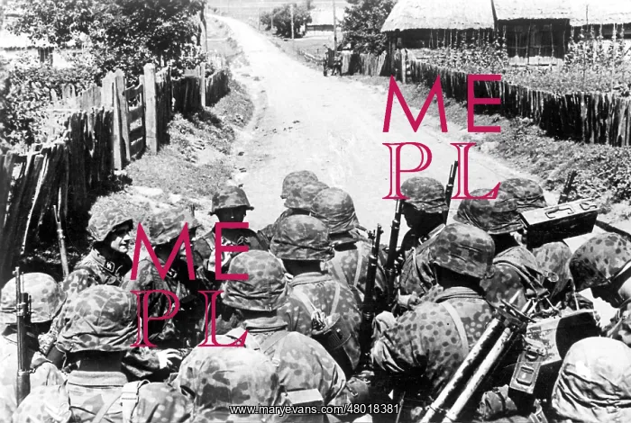 : Soldiers of the Waffen SS on the Eastern front, 1941 : Soldiers of the Waffen SS on the Eastern front, 1941
