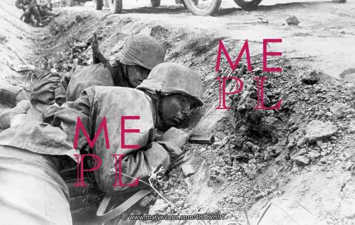 : Soldiers of the Waffen SS on the Eastern front, 1941 : Soldiers of the Waffen SS on the Eastern front, 1941