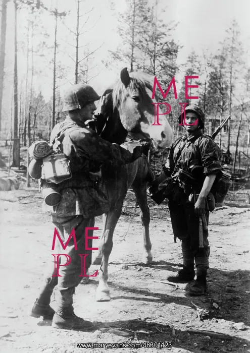 : Soldiers of the Waffen-SS - Eastern Front, 1941 : Soldiers of the Waffen-SS - Eastern Front, 1941
