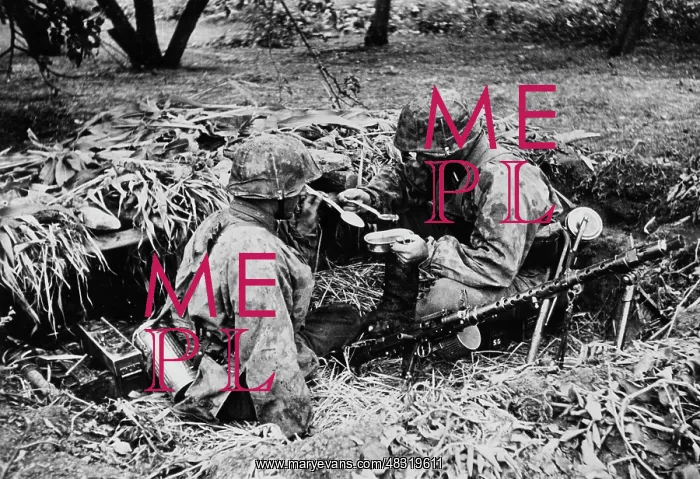 : Soldiers of the Waffen-SS - Eastern Front, 1941 : Soldiers of the Waffen-SS - Eastern Front, 1941