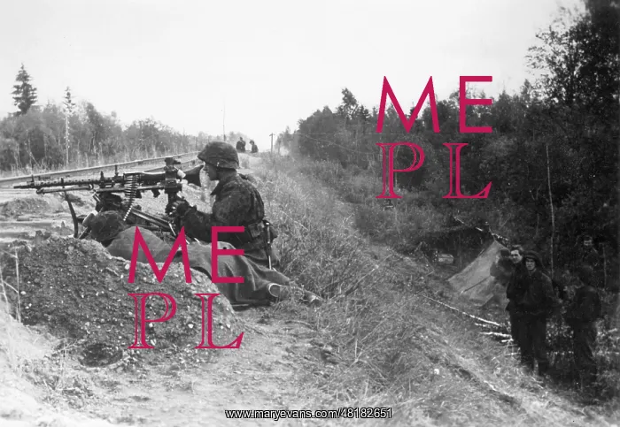 : Soldiers of the Waffen-SS on the Eastern front, 1942 : Soldiers of the Waffen-SS on the Eastern front, 1942