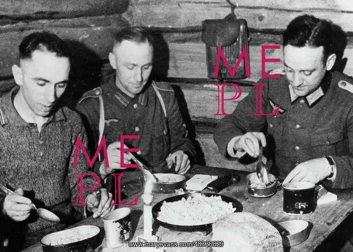: Soldiers of the Wehrmacht - Eastern Front, 1943 : Soldiers of the Wehrmacht - Eastern Front, 1943