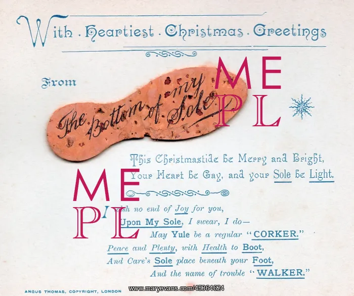 : Sole with comic verse on a Christmas card : Sole with comic verse on a Christmas card