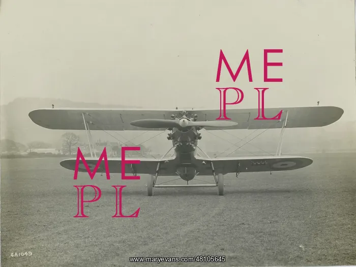 : The sole Gloster Goring, J8674 : The sole Gloster Goring, J8674