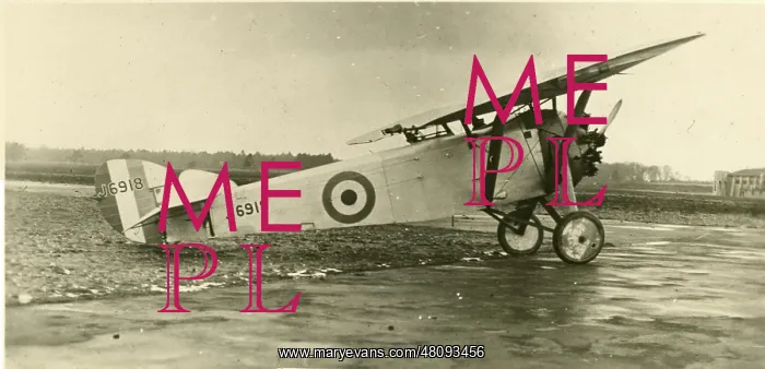 : The sole Hawker Duiker, J6918 : The sole Hawker Duiker, J6918