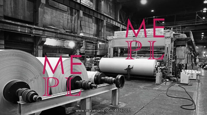  : Solikamsk Pulp and Paper Mill