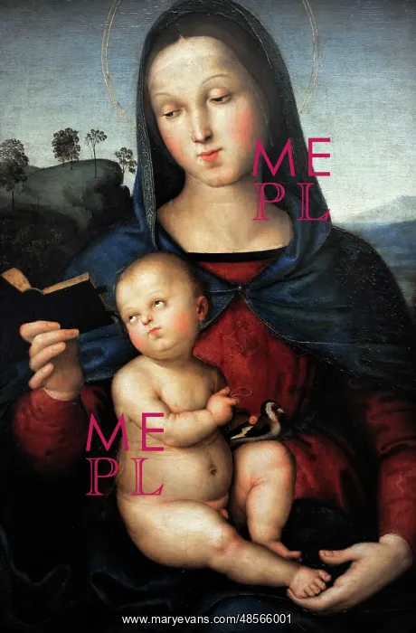 : Solly Madonna, by Raphael : Solly Madonna, by Raphael