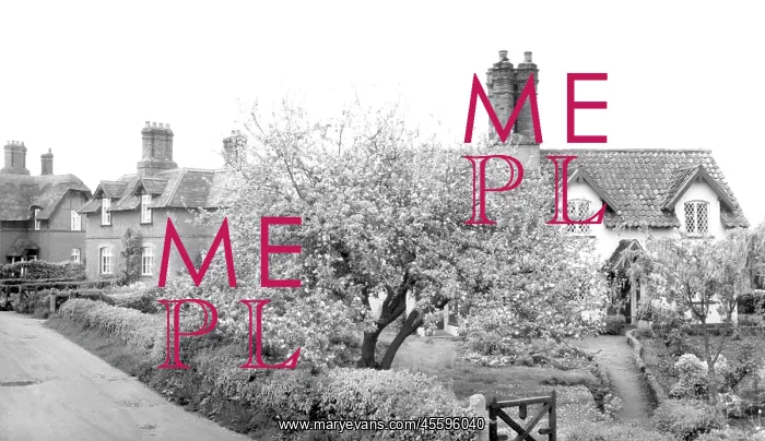  : Somerleyton, the Green c1955